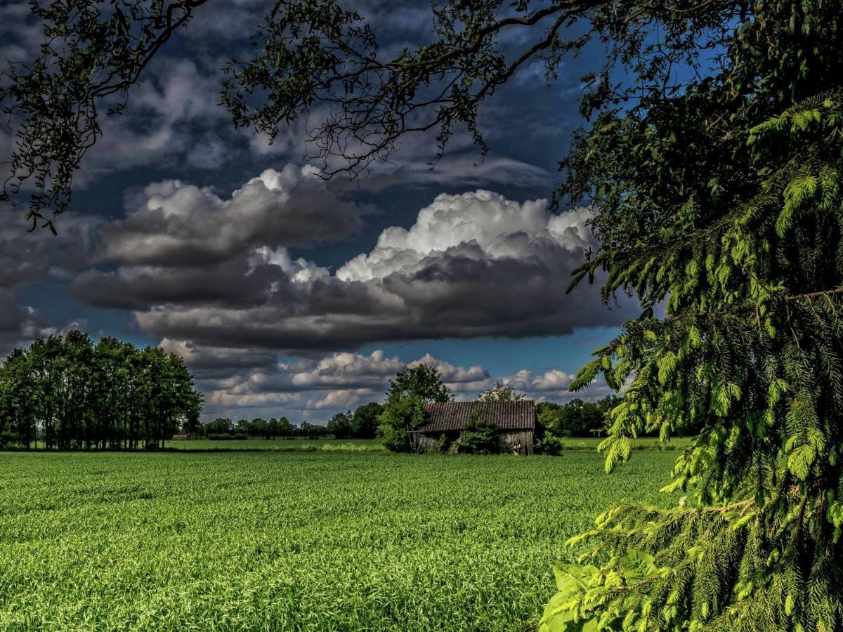 Staying In A Thatched Barn With Box Bed Beautiful View Region Achterhoek Geesteren  Kültér fotó