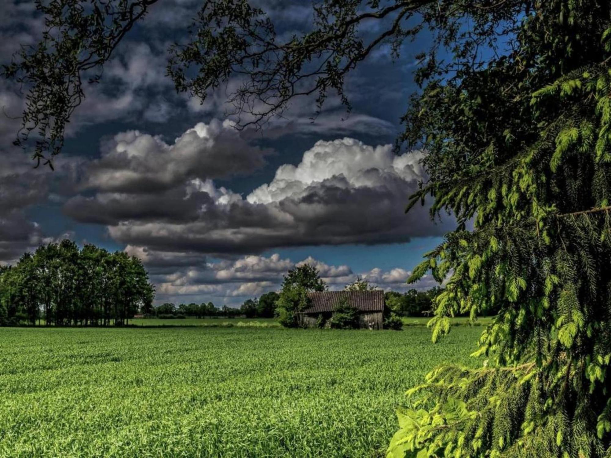 Staying In A Thatched Barn With Box Bed Beautiful View Region Achterhoek Geesteren  Kültér fotó